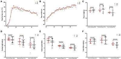 Probiotic mediated intestinal microbiota and improved performance, egg quality and ovarian immune function of laying hens at different laying stage